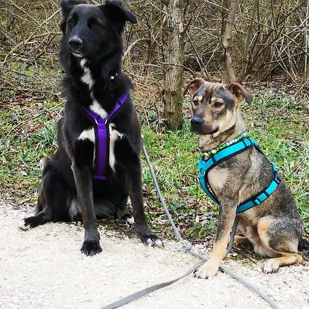 Familie Stuhr * Staatz