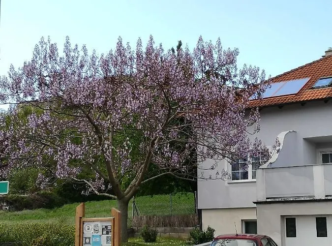 Familie Stuhr Apartamento Staatz