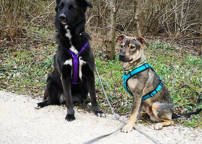 Familie Stuhr * Staatz